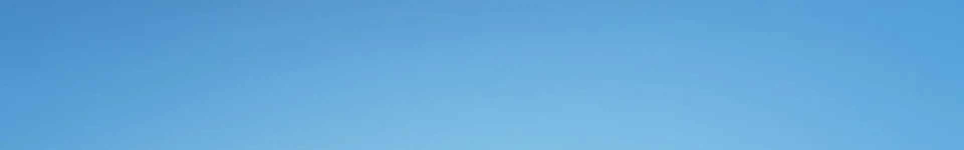 banner_img